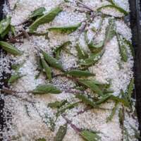 Organic Sage Salt thumbnail