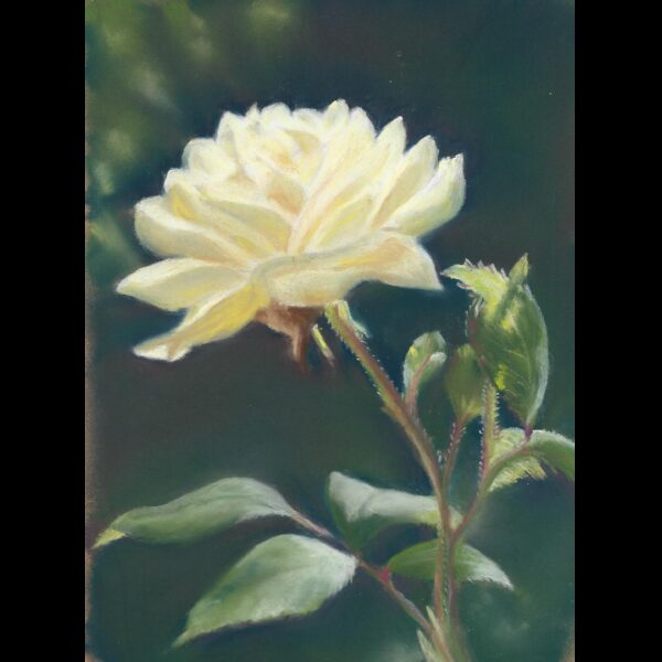 White Rose Notebook