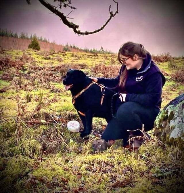 Candles from the Croft