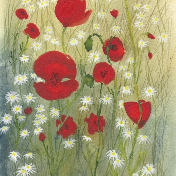 Poppies and Daisy Print