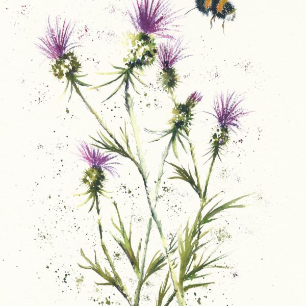 Bee and Thistles #5