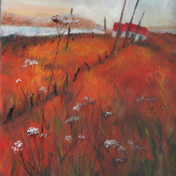 Caithness (Dunnett Head)