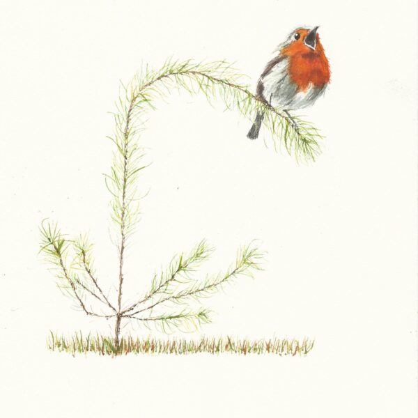 Pack of 5 Square Christmas Cards by Kevin O'Neill