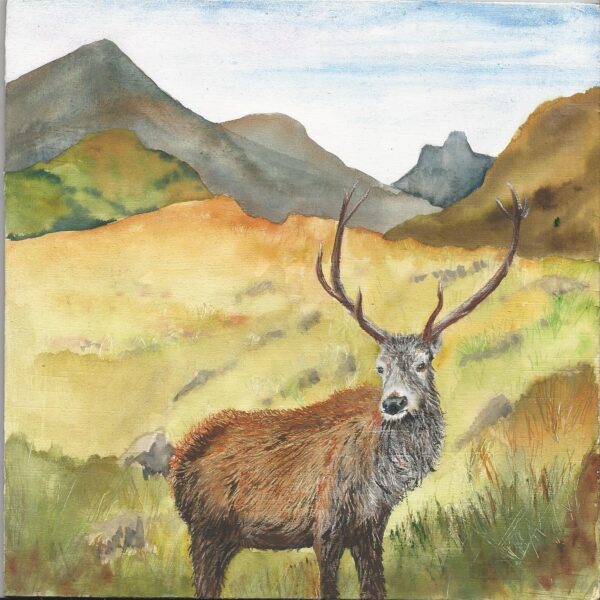 Stag Watercolour Painting