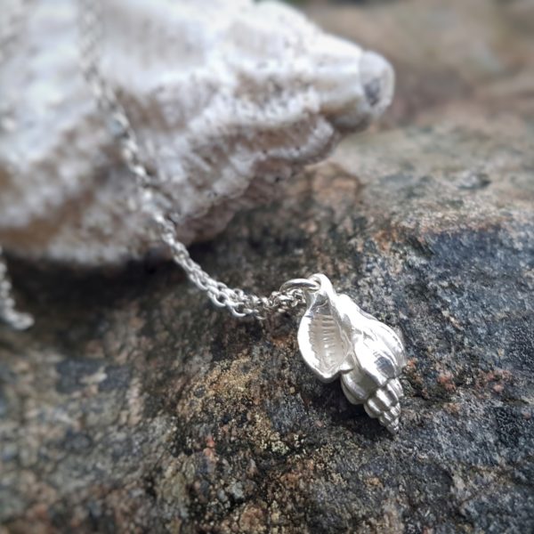 Winkle Shell Necklace