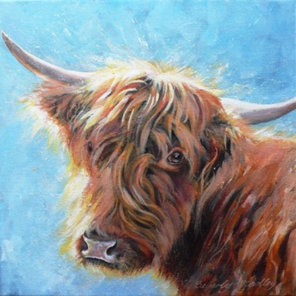 Highland Cow Greetings Card