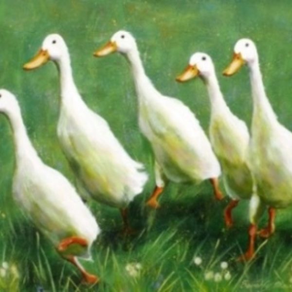 Indian Runner Ducks Giclee Print