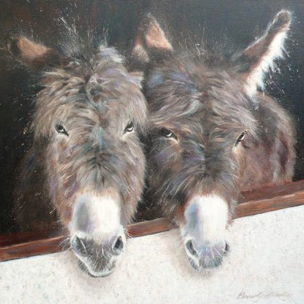 Stable Companions Greetings Card