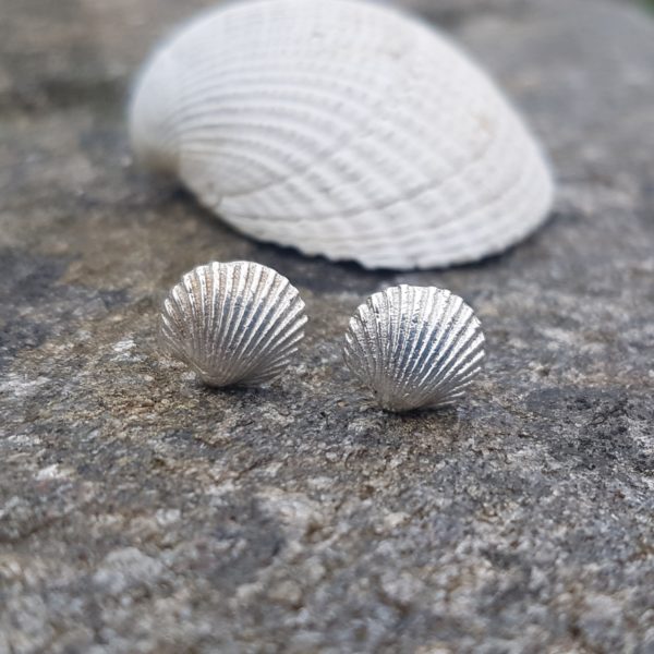 Cockle Shell studs