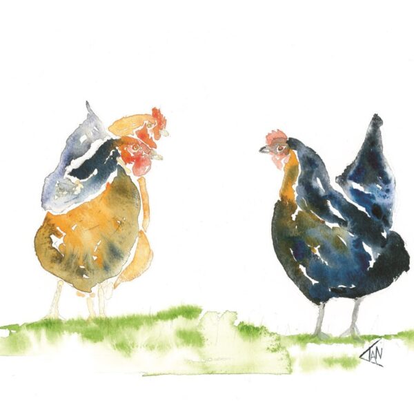 Three Chickens Print