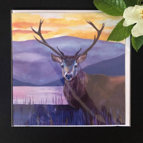 Colours of the Wind Stag Card