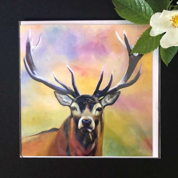 Highland Stag Card