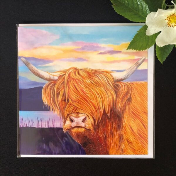 Highland Cow Card