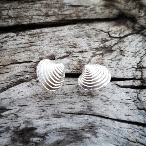 Venus Shell Studs Bright Silver