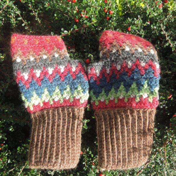 Multicoloured Mittens with Brown Cuff