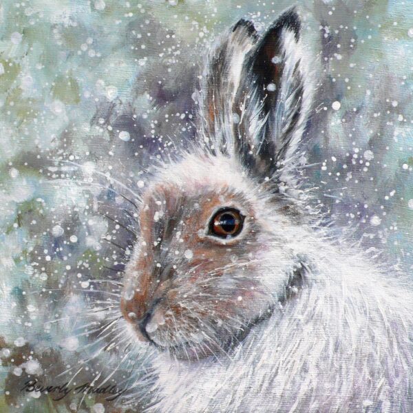 Snow Hare Greetings Card