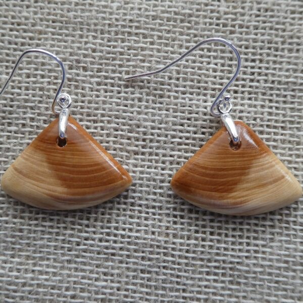 Yew Asymmetric Drop Earrings II