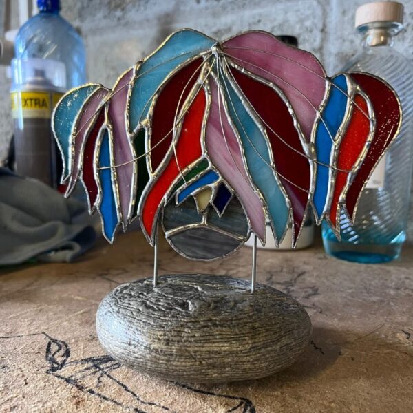 Highland Cow on a Rock - Standard