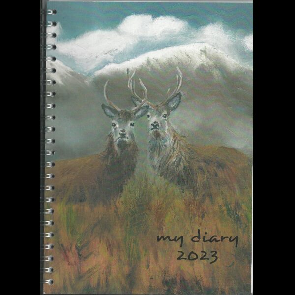 Stag Diary