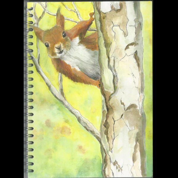Squirrel Notebook