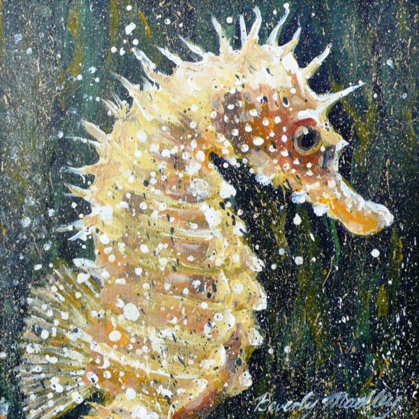 Seahorse Greetings Card