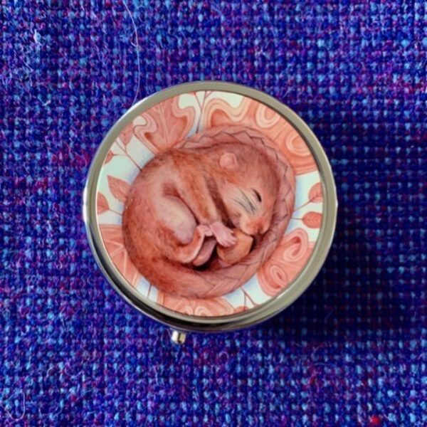 Autumn Slumber Pill Box
