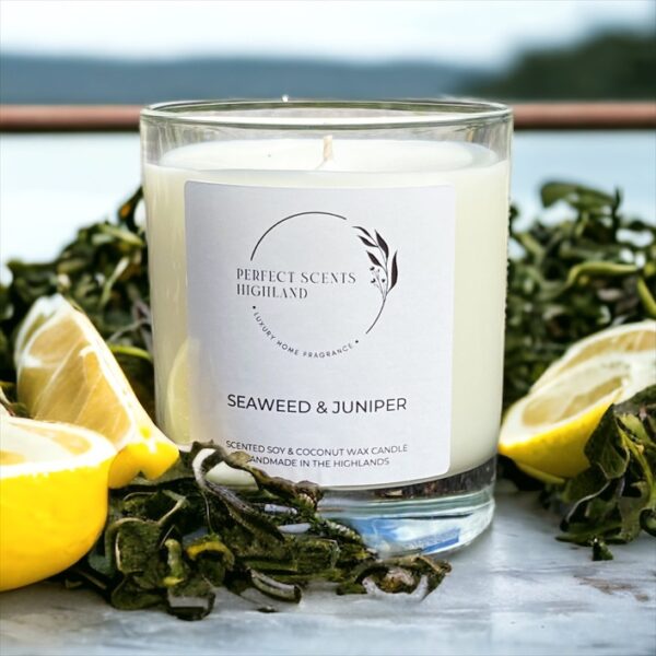 Seaweed and Juniper Candle