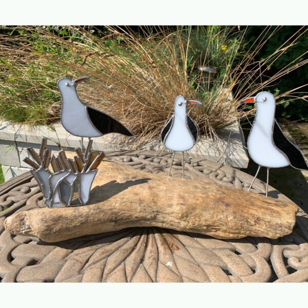 Seagulls on Driftwood Plank