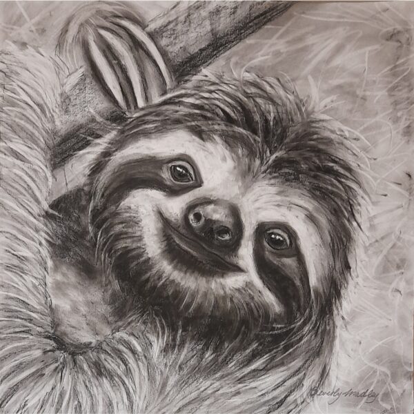 Three Toed Sloth Greetings Card