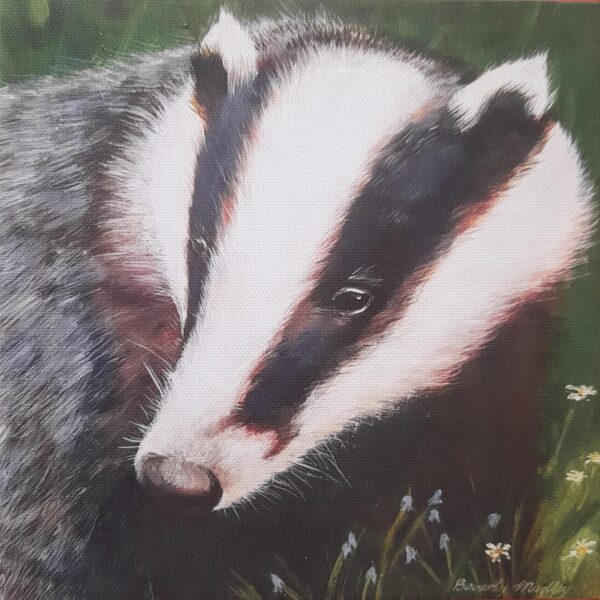 Badger Greetings Card