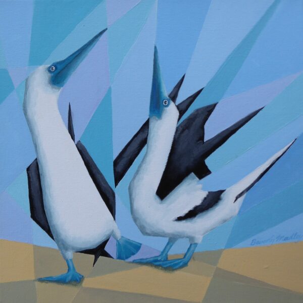 Blue Footed Boobies Courting Greetings Card