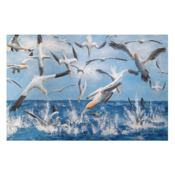 Gannetry Greetings Card