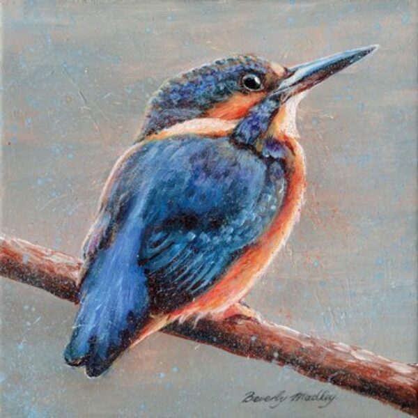 Kingfisher Greetings Card