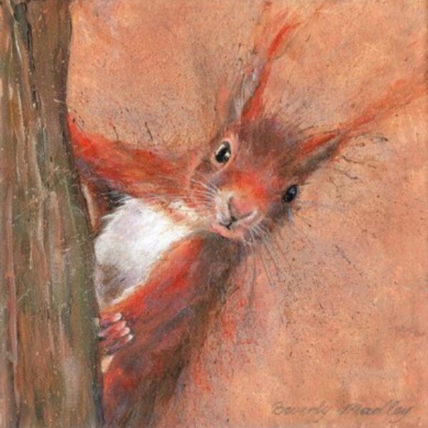 Red Squirrel Greetings Card