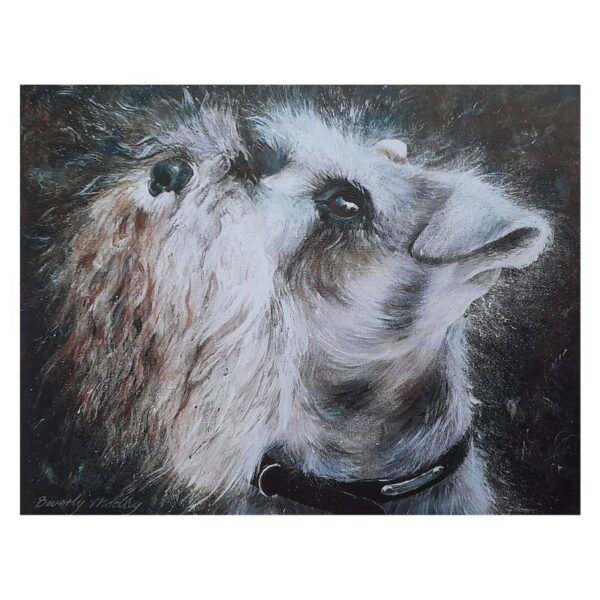 Schnauzer Digital Print