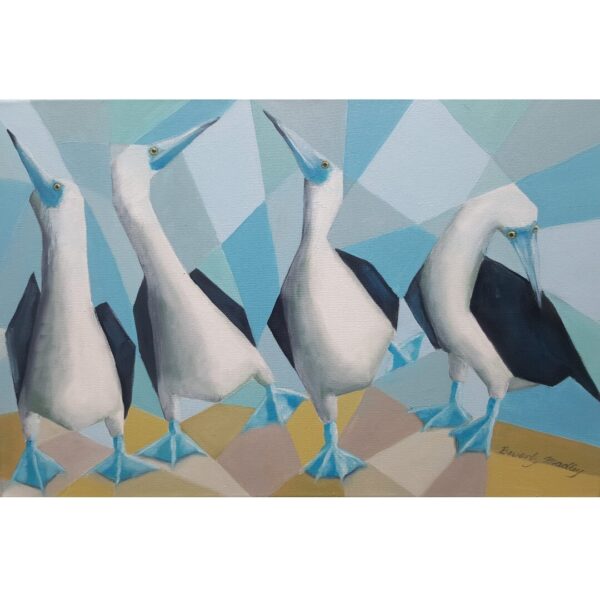 March of the Blue Footed Boobies Greetings Card