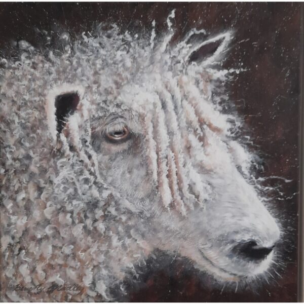 Cotswold Ewe Painting