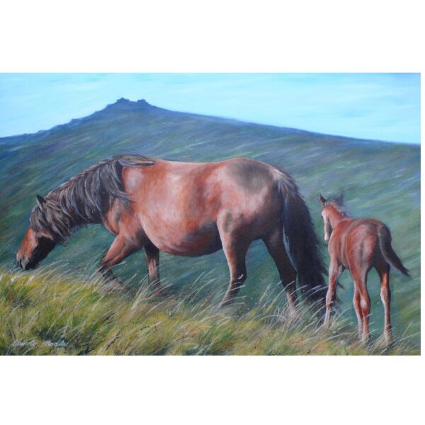 Dartmoor Ponies Digital Print