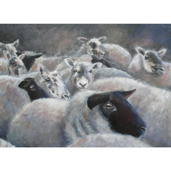 Expectant Ewes Digital Print