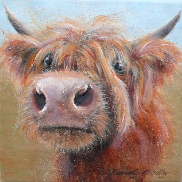 Highland Coo Greetings Card
