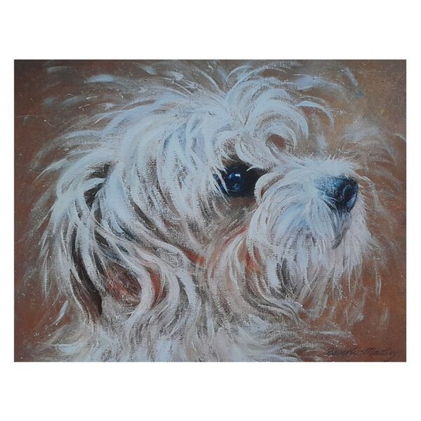 Wire Haired Jack Russell Digital Print