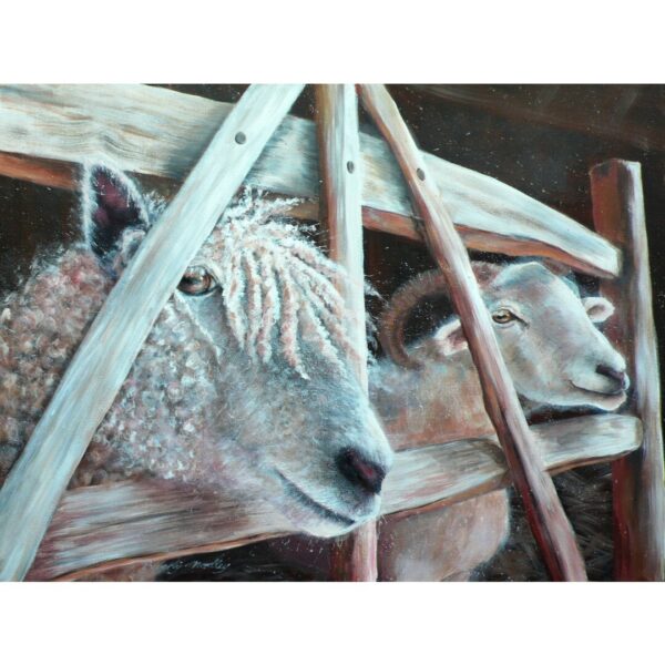 Me and Ewe Greetings Card