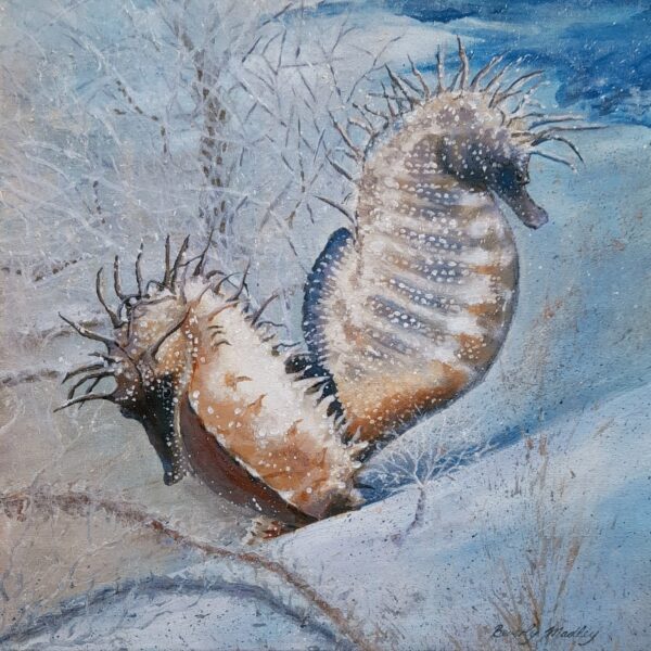 Seahorses