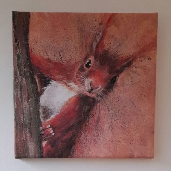Red Squirrel Canvas Print