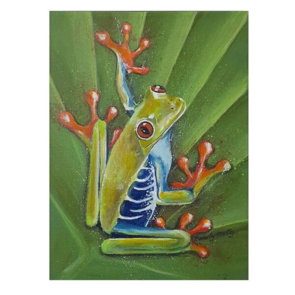 Tree Frog Greetings Card