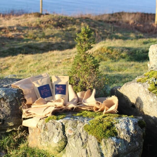 Ethiopian Natural Djimmah Ground Coffee 250g