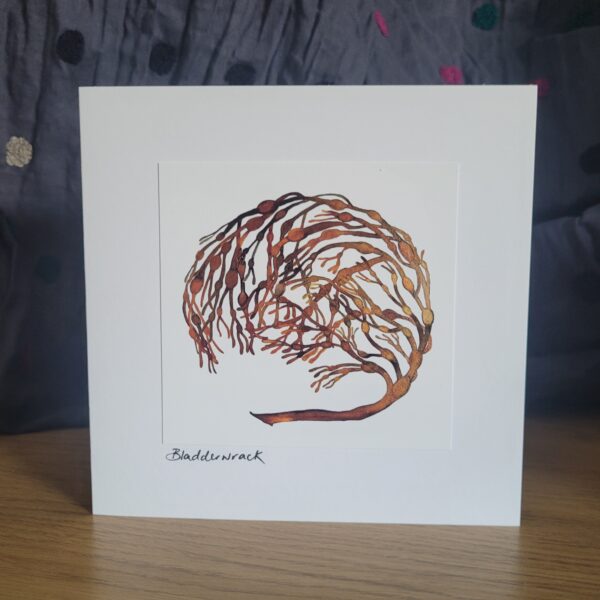 Bladderwrack Card