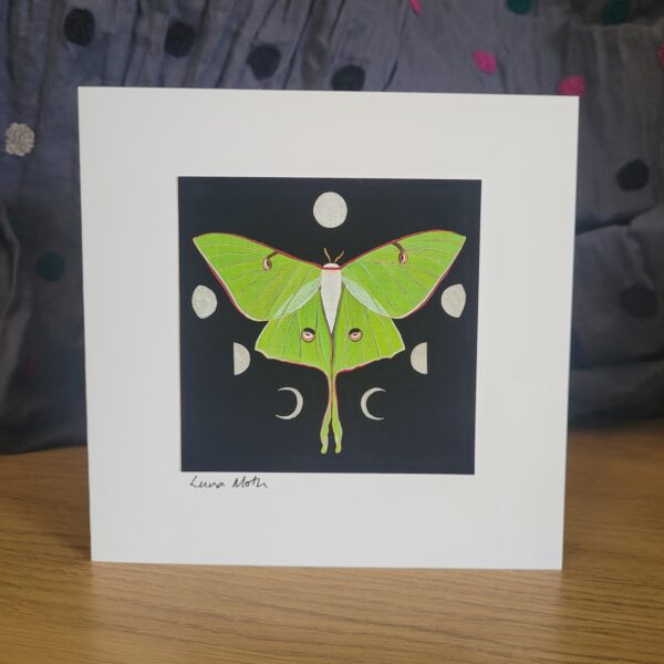 Luna Moth Card