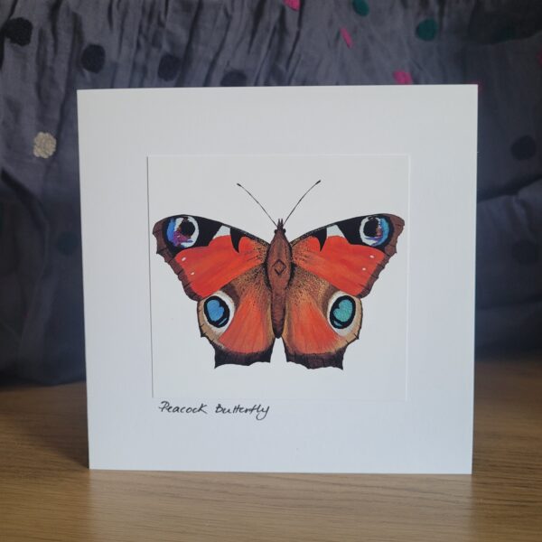 Peacock Butterfly Card