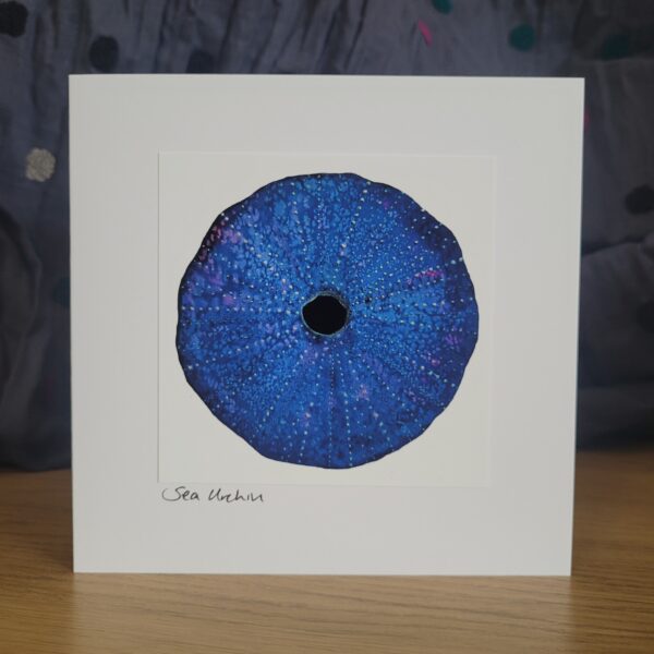 Sea Urchin Card